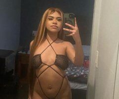 Divina Latina - Image 4