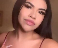 Divina Latina - Image 5