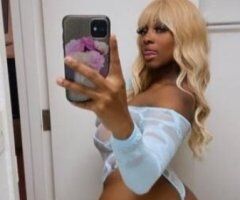 can i be your porn star - Image 3
