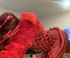 CHOCOLATE DOLL🍫🤎INCALL SPECIAL'S 𝐀𝐯𝐚𝐢𝐥𝐚𝐛𝐥𝐞 𝐍𝐎𝐖❗𝑭𝒂𝒄𝒆𝒕𝒊𝒎𝒆 𝑺𝒉𝒐𝒘𝒔🤩 - Image 5