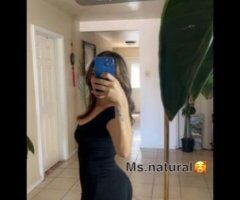 Yuma escorts - im back in the city 😽 catch me while you can 💦✨