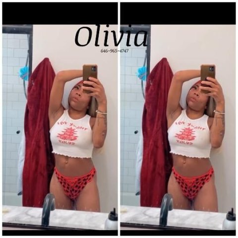 Olive the Mini Stallion - 1