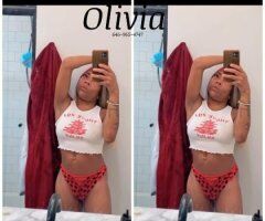 Orlando escorts - Olive the Mini Stallion
