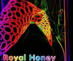 San Francisco escorts - 🔥$12Ohr🔥 🟧🧡🤫🧡🟧🔥 🧡🟧🟧🧡🟧 お金稼ぐ私はスター I Get M💰NEY💸🟩 Ima ST⭐R✨ 🟨⭐🟨✨💸 🟧🔥❌No 🚫 Deposit❌🔥🛑NO BARE🚫🟧