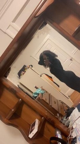 INCALLSSS TODAYY ‼ 🍫 SEXY EBONY 🍫🚗 Car Fun🚗 Available ↙24/7👅OR PICK ME UP ✔Available Outcall UBER ME TO YOU 😍😘 OUTCALLSS TODAYY ‼ 💦 - 1