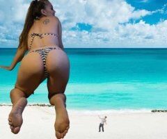 come dive in it daddy 😜💦hmu for incalls outcall and carfun🙏👄 - Image 4