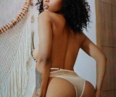 cubana exotica - Image 2