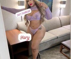 independent escort - Image 5