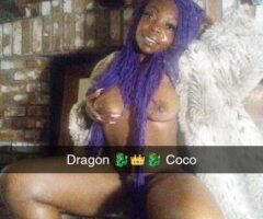 dragon coco - Image 2