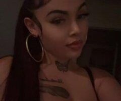 Exotic Mixed Breed 🥰 - Image 3