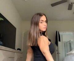 Tiny Companion, Full Service. $24/7$ Availability & Best Rates Guaranteed. - 26 - Image 3