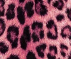 Santa sexy helper 💋💋 slurpem n gripem 😍 bbj ☀ qv special ask me about t 🩷😙 sexy thick curvy 😛 great service no rush . - 25 - Image 6