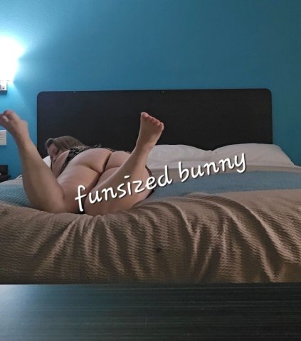 funsized bunny incalling and outcalling - 33 - 1