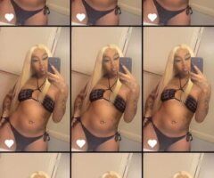 New New - 28 - Image 4