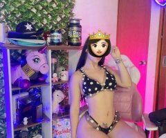 Milwaukee escorts - disponible 24/7 - 27