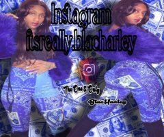 The REAL Blac Harley 🤩 Not Here Long - 34 - Image 5