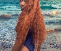 🌟 New Petite (5'2") in danville ! 💦 Squirter/Creamy too ✨ Oral ✅ No Bare/Anal. $200/qv $300/hhr, $400/hr 1 hrs left! Limited Time - 18 - Image 4