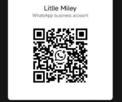 💦I am a 3𝐟𝐨𝐨𝐭9 𝐢𝐧𝐜𝐡 𝐬𝐡𝐨𝐫𝐭𝐲 𝐆𝐢𝐫𝐥 new in town.💕 I offered full service💦💕 Alaways available on Telegram💕 - 23 - Image 9
