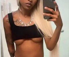 Columbus escorts - OUTCALL & INCALL - 22