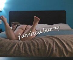 funsized bunny incall or Outcall - 33 - Image 2