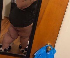 BBW 70$ ss special - 26 - Image 2
