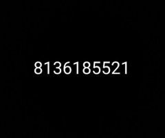 Chicago escorts - Call the number in the Picture - 30