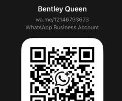 Columbus escorts - Bentley Queen Available For📞Incall/Outcall🚗Carfun👄 - 24