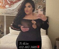 New MOST WANTED IN YR CITY!!! MEXICAN PONY DOLL🦄 - 19 - Image 3