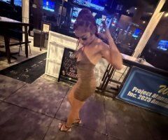 Cinnamon: The Irresistible Charm with a Playful Edge! - 21 - Image 6