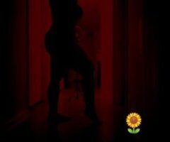 Raleigh-durham escorts - YOUR LADY OF MYSTERY-COME BASK IN THE SUNSHINE - PLEASE READ - 25