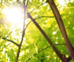 Staten Island escorts - NO DEPOSIT 100%REAL !THE HEAD DR 😜BBJ👍call me👍😜😘👏🏽 - 28