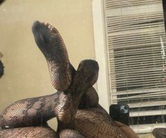 Chicago escorts - 🎀𝓚𝓪𝓻𝓮𝓮𝓶🎀 OUTCALL AND CARDATES✔🚗 - 22