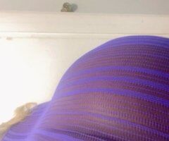 Baton Rouge escorts - ‼ Freaky bbw playmate 💦NEW#2 4 2 9 2 0 2 - 25