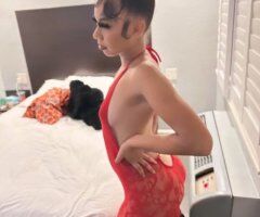 San Jose escorts - Petite lightskin😍Come an enjoy your delicious treat 🤤💋Incalls an outcall💕 - 21