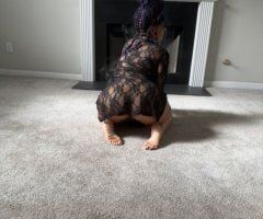 one night only catch me while u can!!😘😜💦💦🍑 - 38 - Image 2