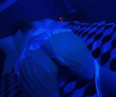 cone seek Mia - 54 - Image 3