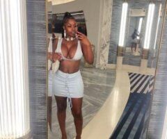 Stunning Chocolate Ebony - 26 - Image 7