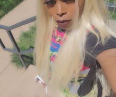 candy wet - 39 - Image 12