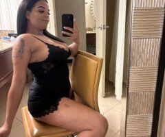 Pretty Stallion Available💕 - 21 - Image 4