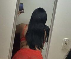 Pretty Stallion Available💕 - 21 - Image 5