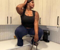 pent house pet - 24 - Image 9