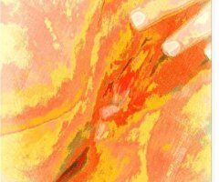 🍪🍪🍪🍪 - 31 - Image 5
