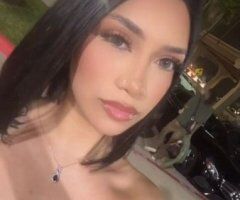 CLASSY LATINA - 26 - Image 3