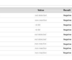 Bare Eighty dollar Incall / Outcalls - 25 - Image 3