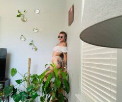 truth or consequences: hot springs adventure - 25 - Image 5
