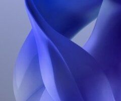 Fort Collins escorts - account hacked - 24
