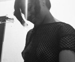 Ivy best Bronx 🐱just landed visiting PHG limited time only - 21 - Image 4