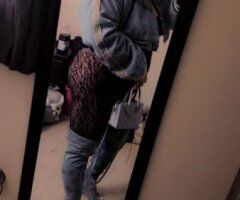 Im Back !! Best Ever Mistress Alley Sexy Exotic Mixed Stallion, - 27 - Image 5