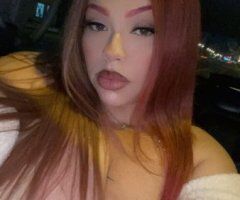 Im Back !! Best Ever Mistress Alley Sexy Exotic Mixed Stallion, - 27 - Image 8