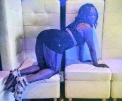 two chocolate kittens 😻 😻 😻 😻 😻 😻 😻 Wilkes-Barre Pennsylvania - 27 - Image 4